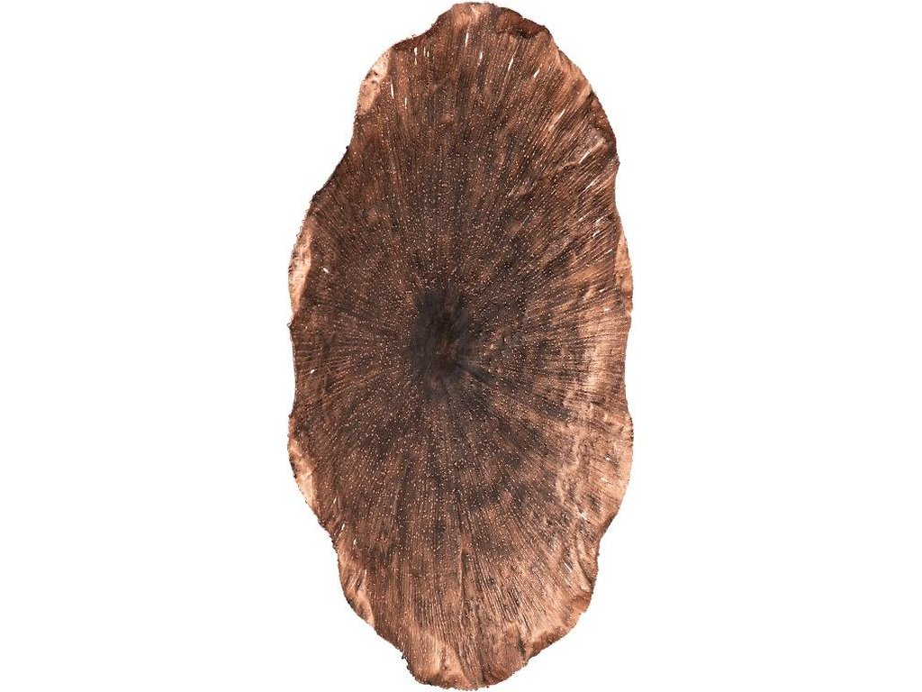 Lotus Wall Art, Copper/Black, LG - image 1