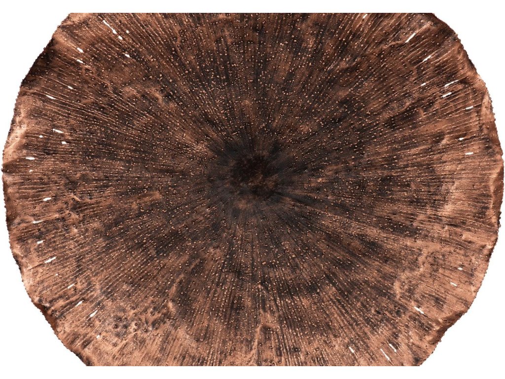 Lotus Wall Art, Copper/Black, LG - image 2