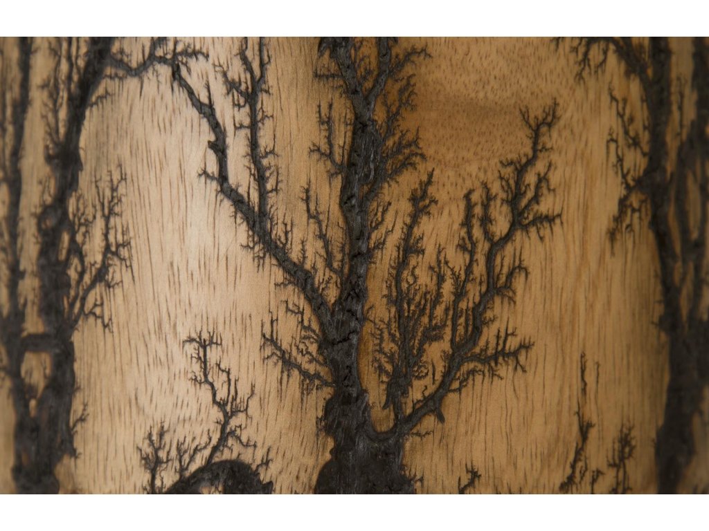 Lightning Vase, Mango Wood, Cup Shape - image 2