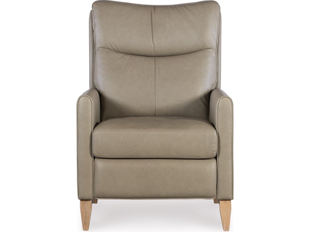 Quinnie Press Back Recliner - image 4