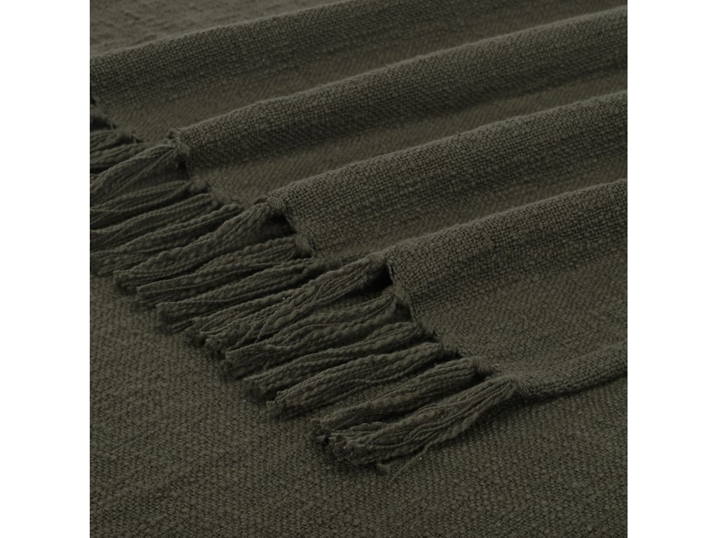 Chalamet - image 2