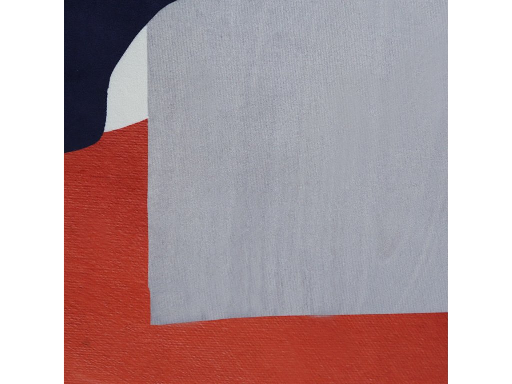 Lonzo - image 5