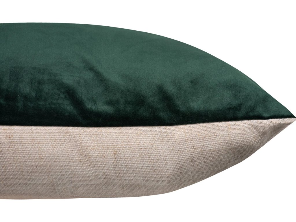 Olive - image 1