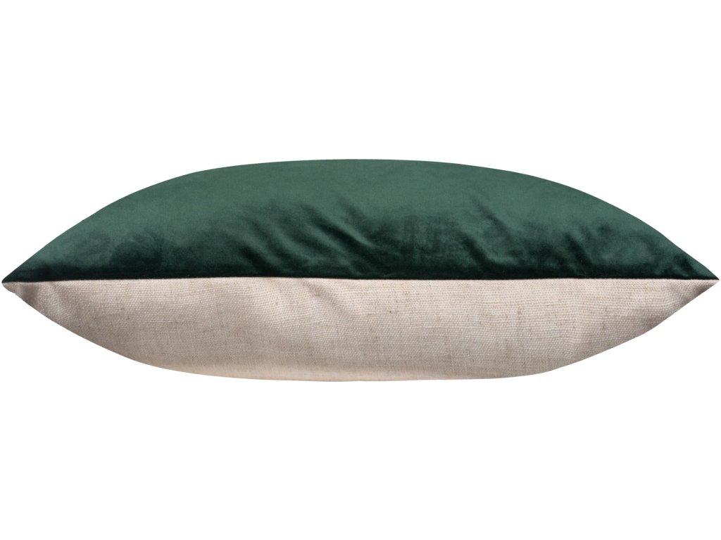 Olive - image 2