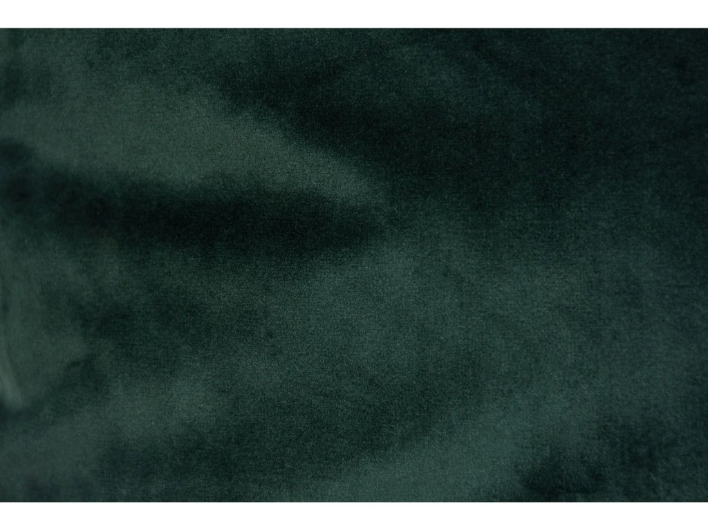 Olive - image 4