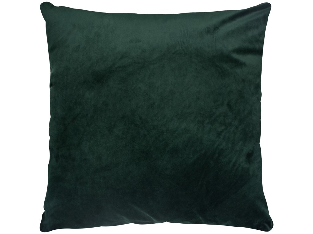 Olive - main image