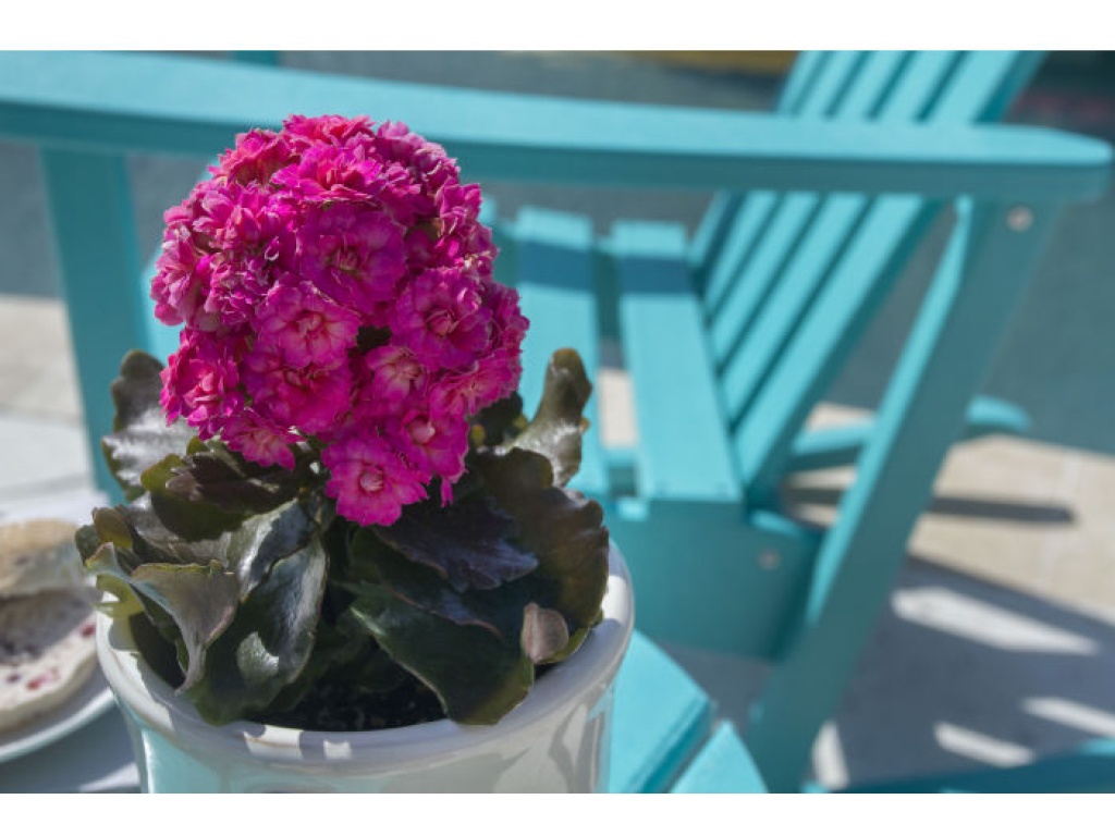 Cape Cod Adirondack Rocking Chair - image 10