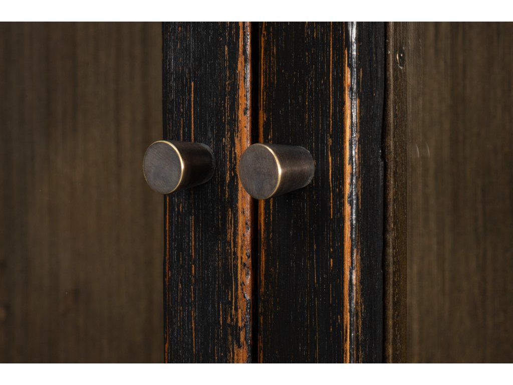 Edgar Allan Glass Bookcase Antique Black - image 6