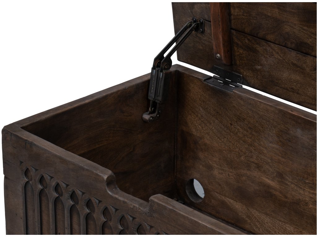 Aarush Trunk - image 6