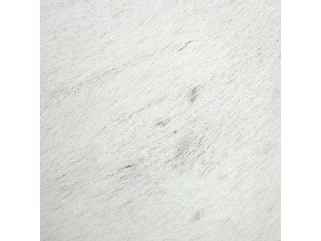 Lucius Bench - image 4