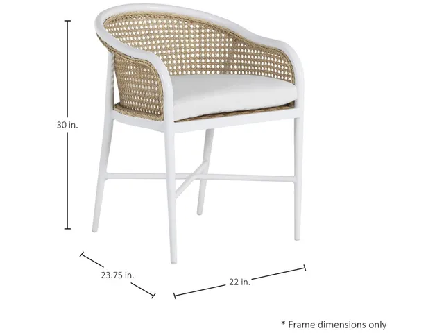 Havana Cane N-Dura Resin Wicker Outdoor Arm Chair - Alternative View