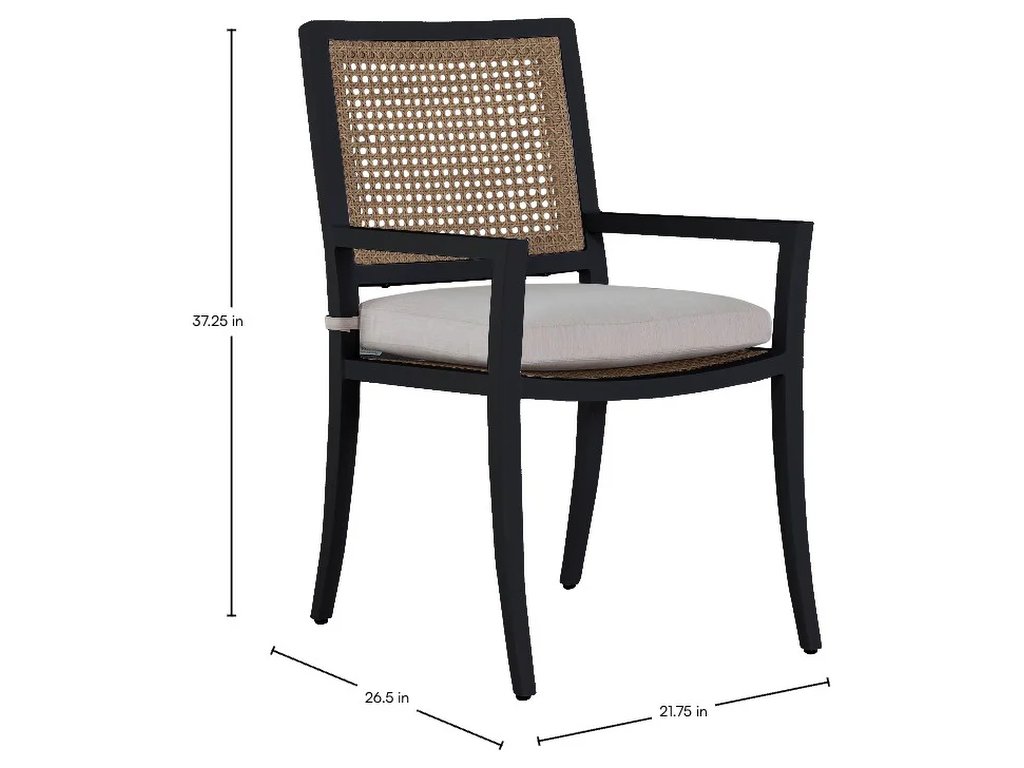 Bermuda Aluminum and Cane Arm Chair - image 1