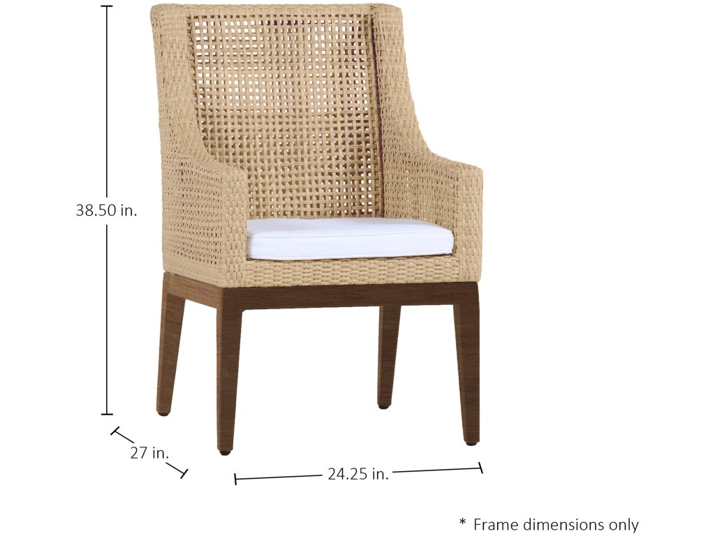 Peninsula N-Dura Resin Wicker Outdoor Arm Chair - image 1
