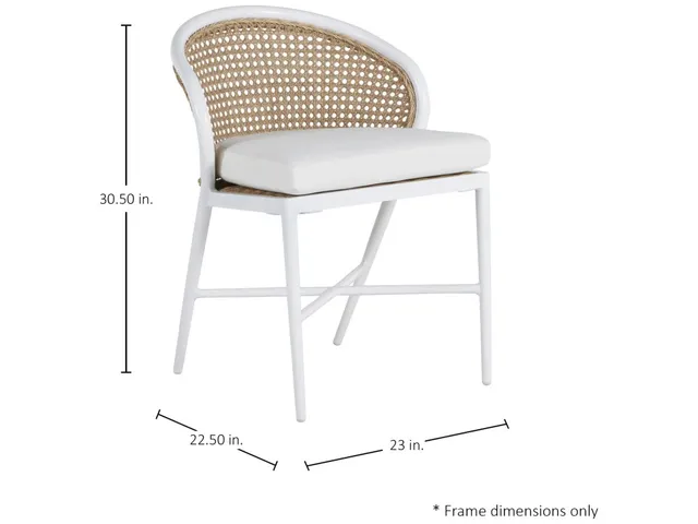 Havana Cane N-Dura Resin Wicker Outdoor Side Chair - Alternative View