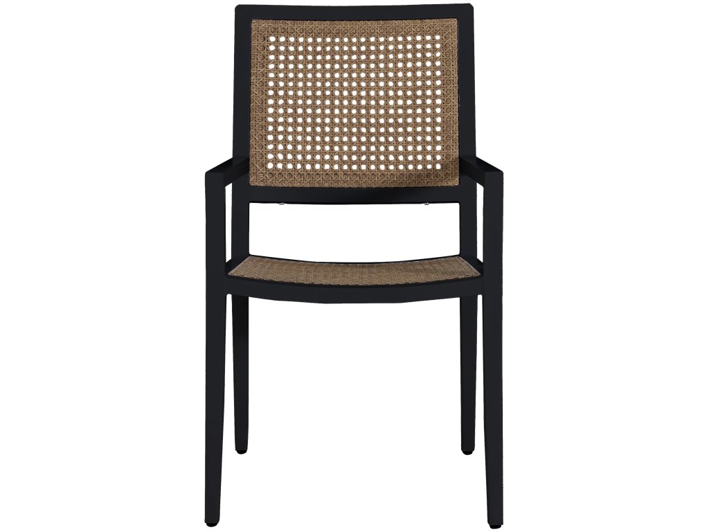 Bermuda Aluminum and Cane Arm Chair - image 3