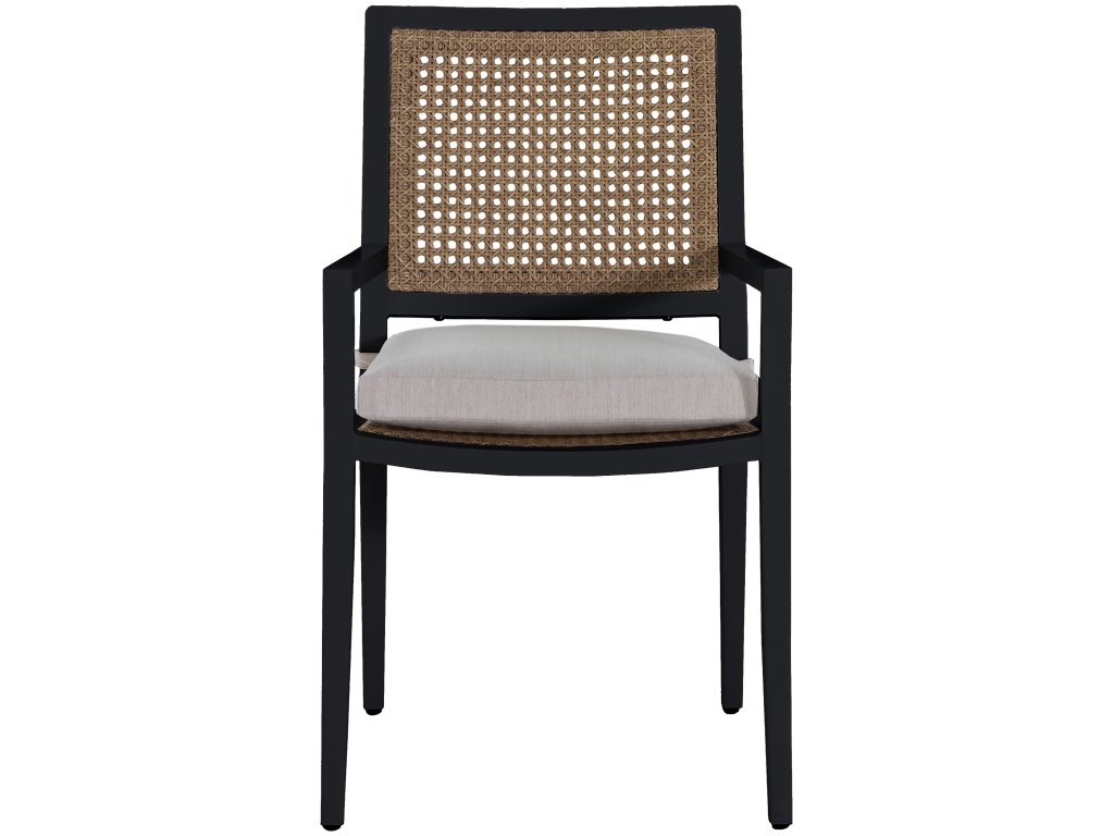 Bermuda Aluminum and Cane Arm Chair - image 2