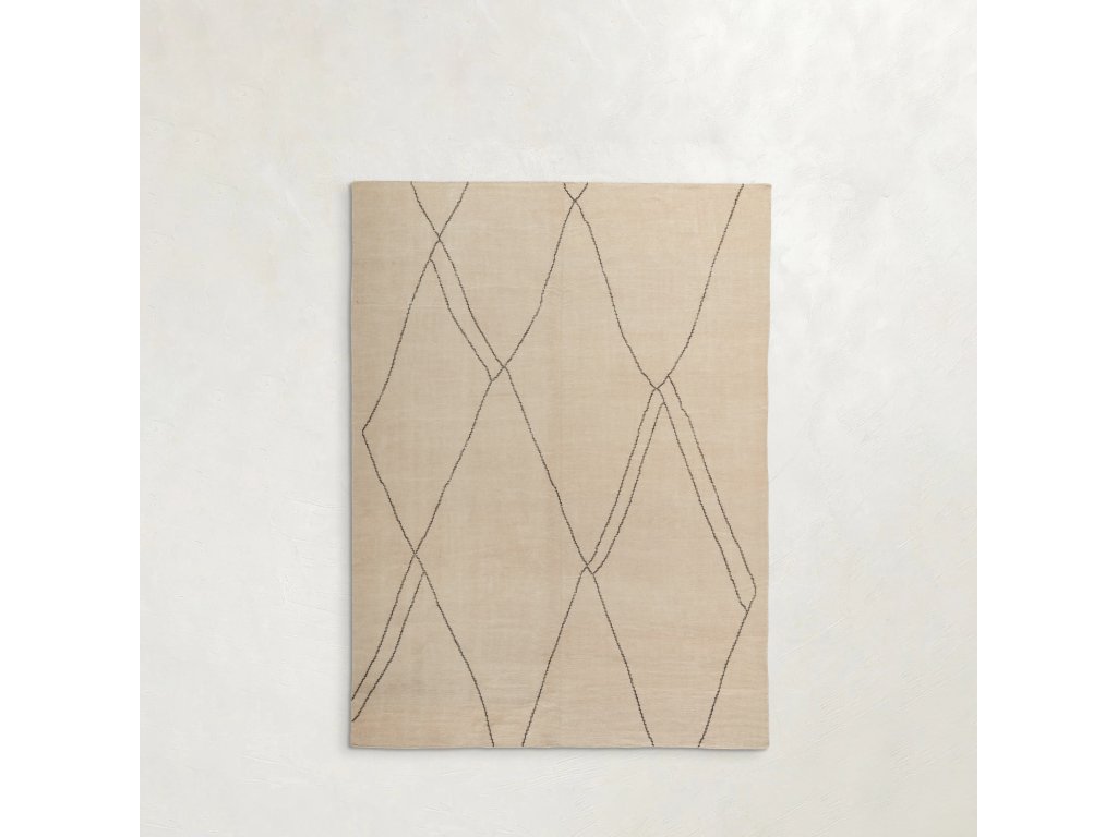 Moroccan Outdoor Area Rug - image 2