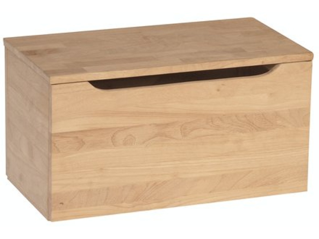 22'' Storage Chest / Toy Chest - main image