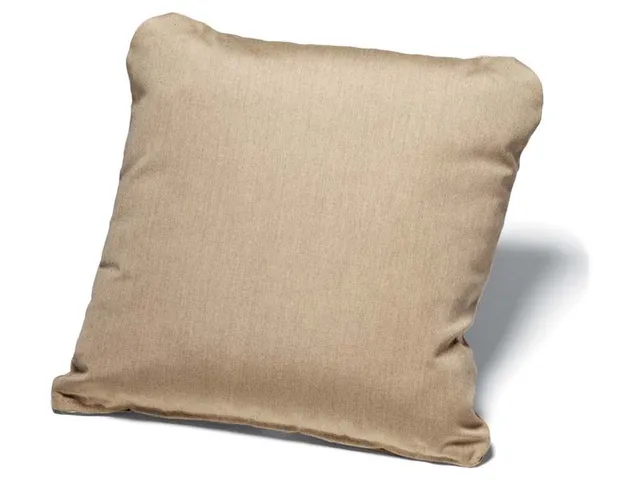 17" Throw Pillow