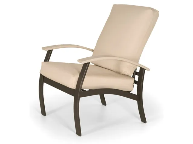 Arm Chair w/ Polymer Accents