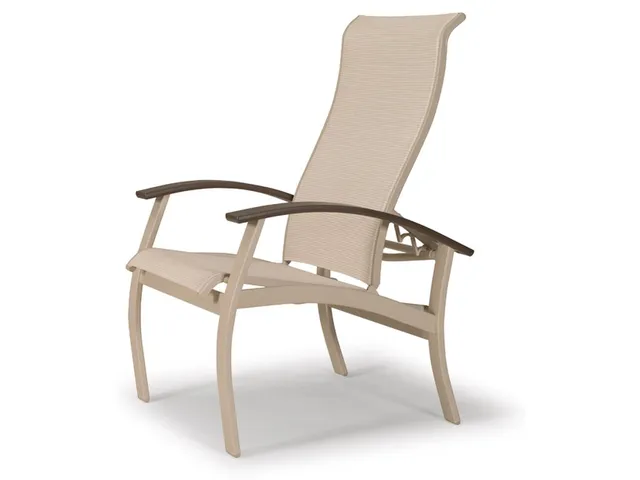 Arm Chair with Multi-Posititon Back w/ Polymer Arms