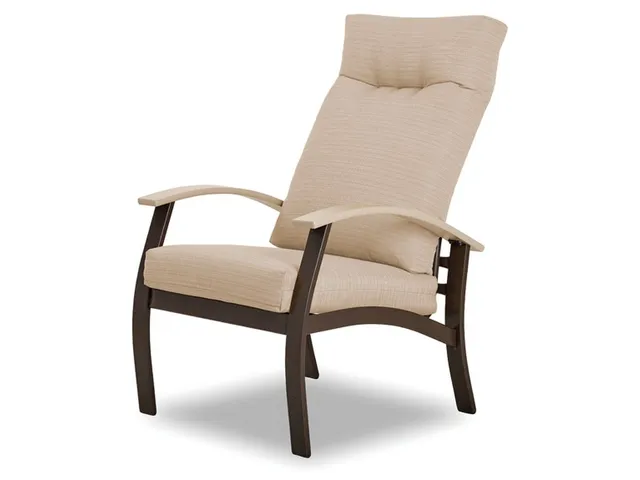 Supreme Arm Chair w/ Polymer Accents