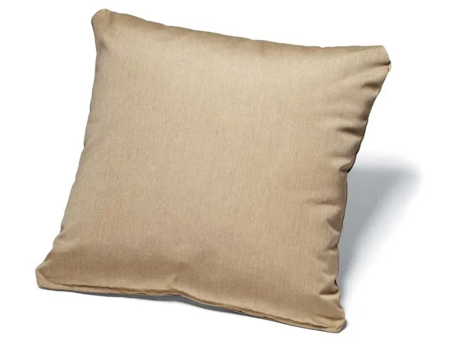 20" Throw Pillow