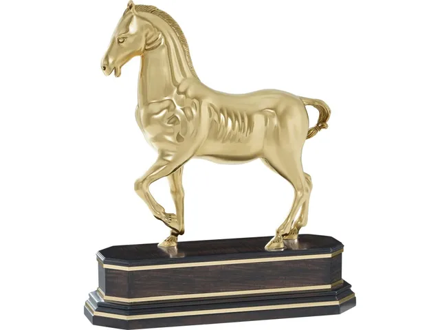 Dressage