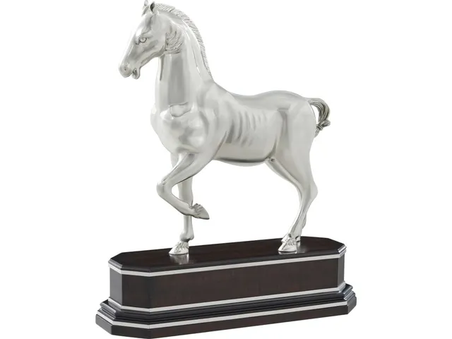 Dressage