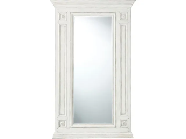 The Antoinette Mirror