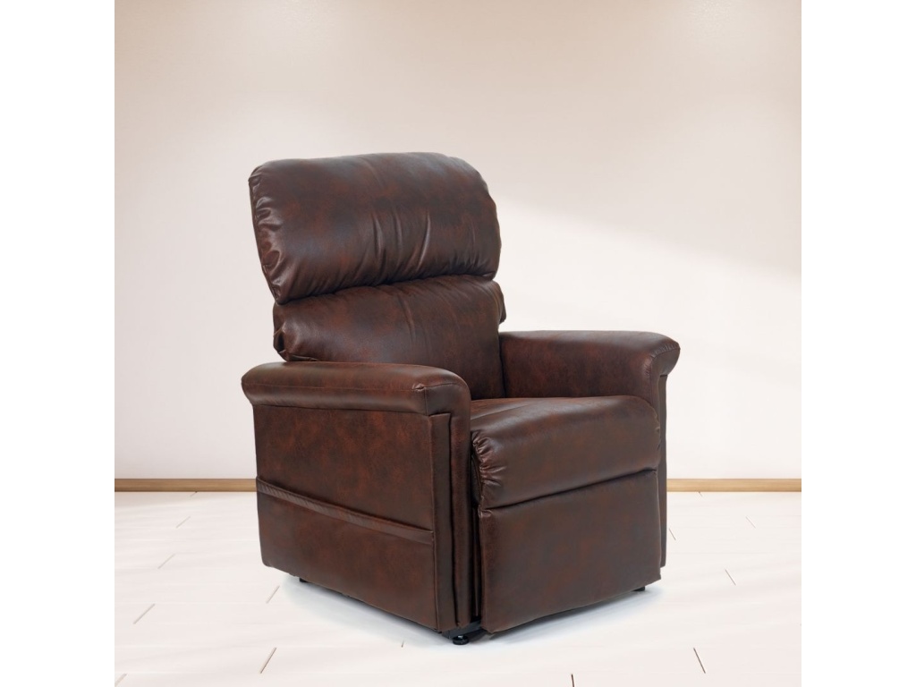 Austin power lift recliner - image 4