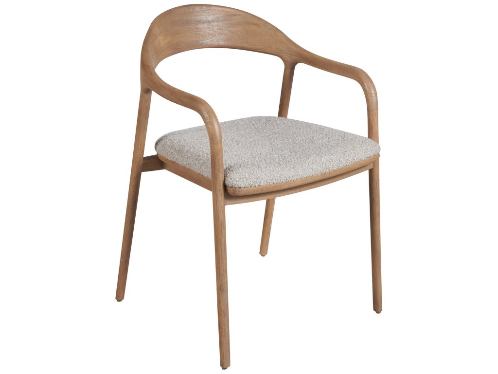 Echo Dining Arm Chair - image 4