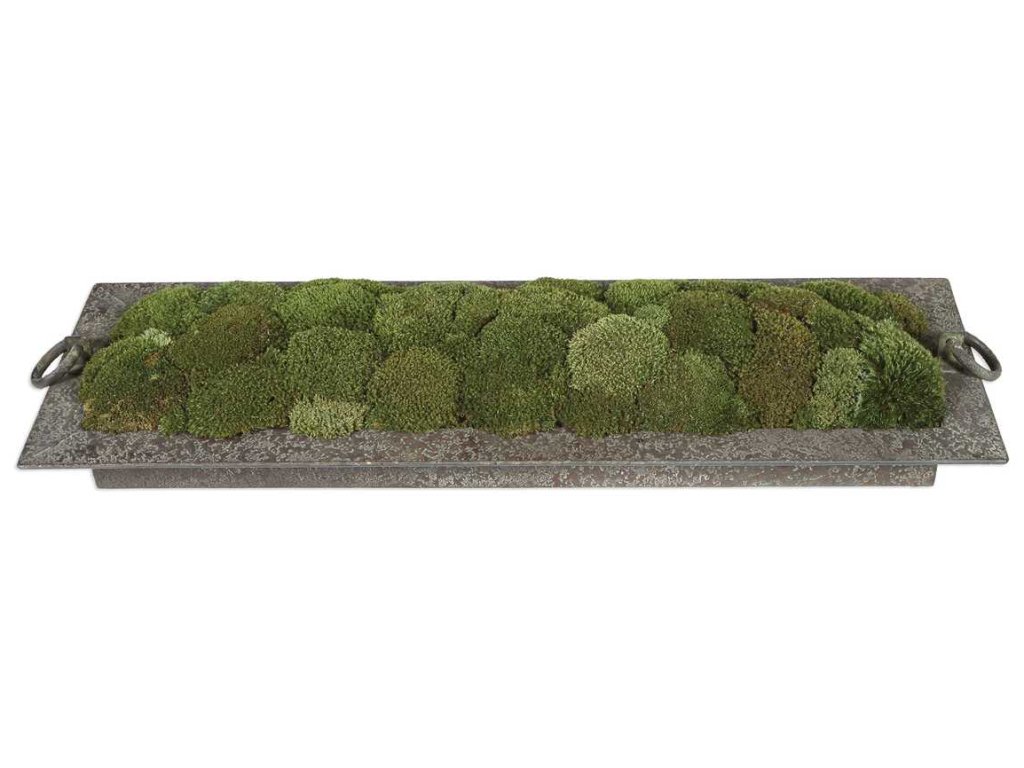 Heath Preserved Moss Tray - image 2