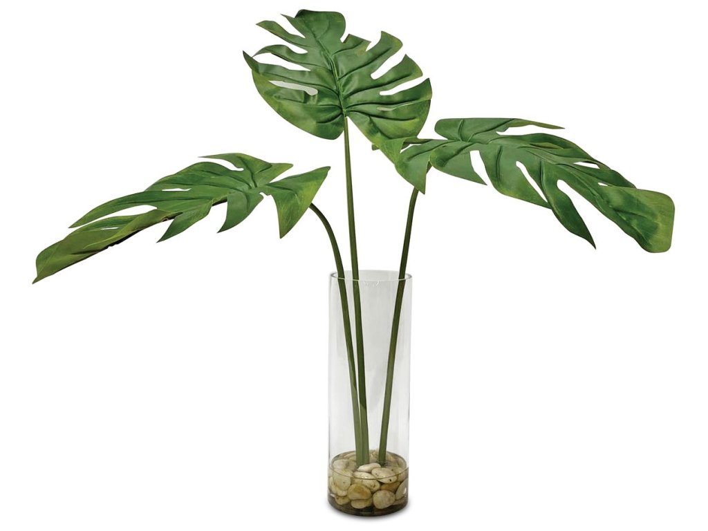 Ibero Split Leaf Palm - main image