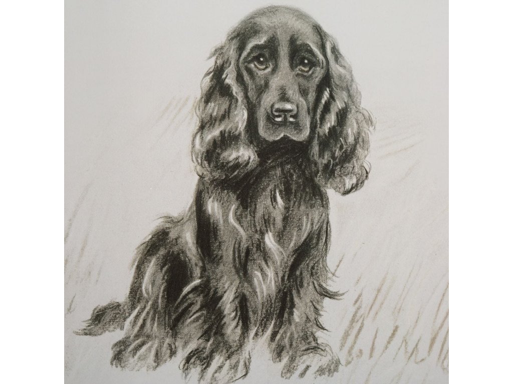 Loyal Companion Framed Prints, S/9 - image 4