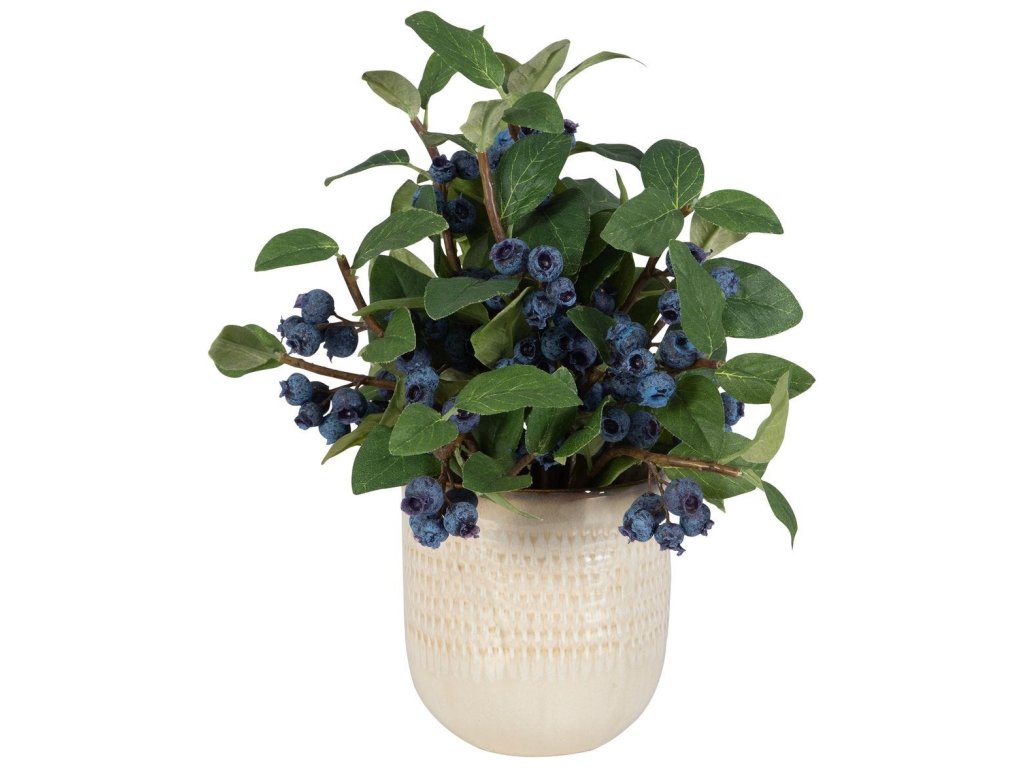 Blueberry Fields Accent - image 2