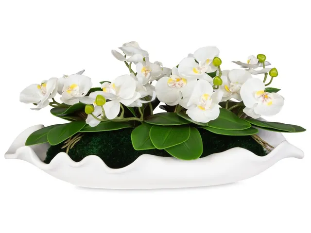 Opulence Orchid