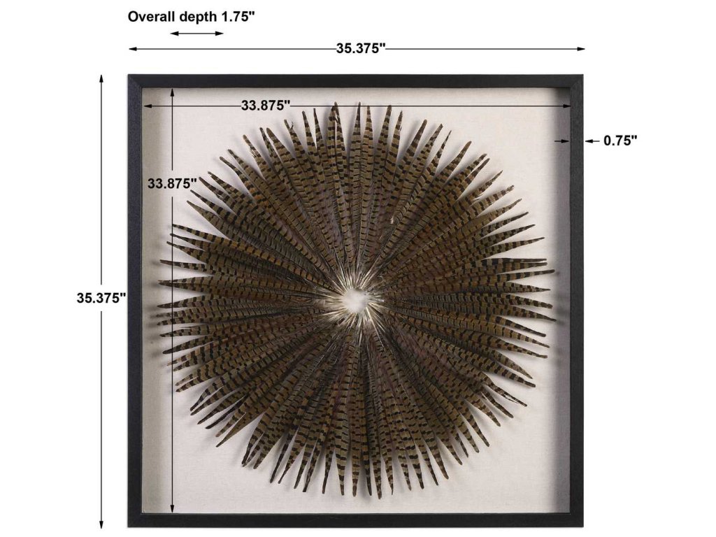 Feather Burst Shadow Box - image 5