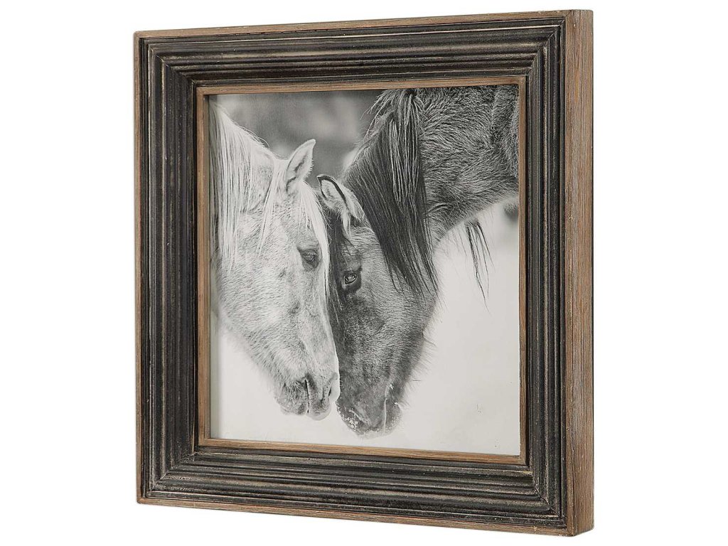 Custom Black And White Horses Framed Print - image 5