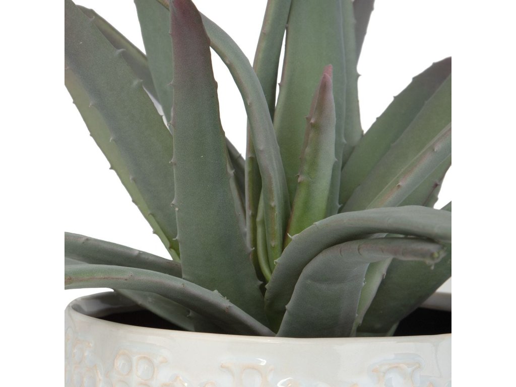 Taos Aloe Centerpiece - image 5