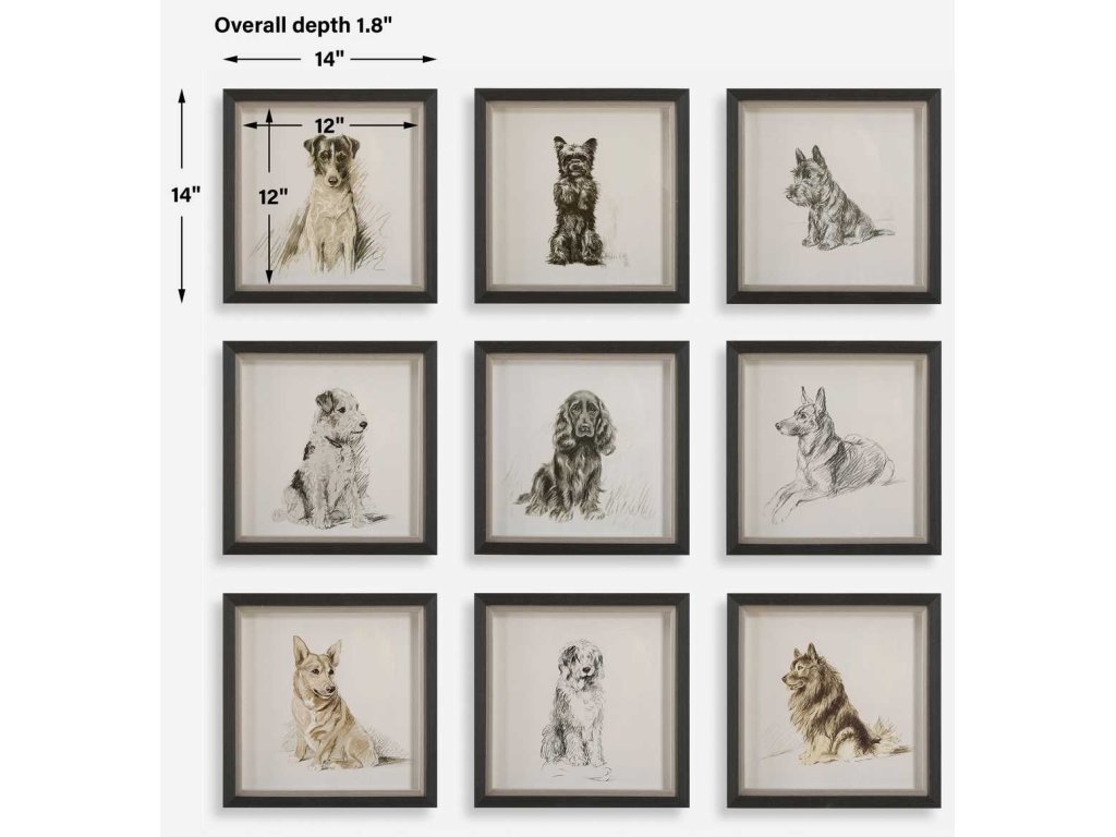 Loyal Companion Framed Prints, S/9 - image 6