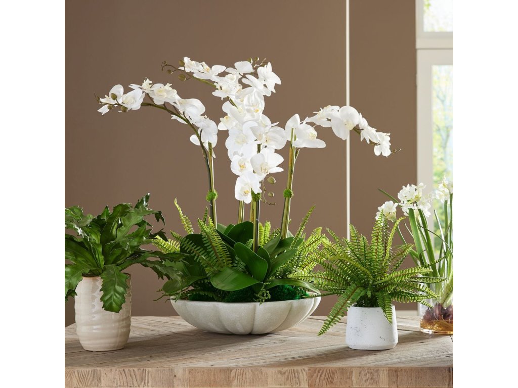 Flourish Orchid Centerpiece - image 2