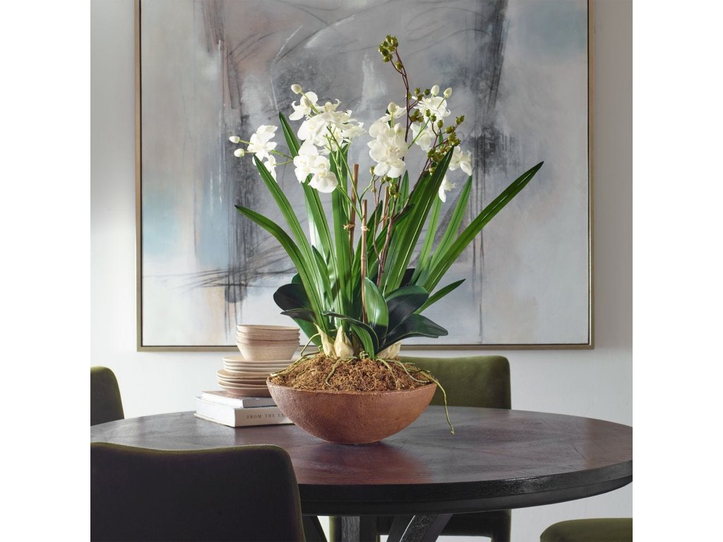 Moth Orchid Planter - image 1