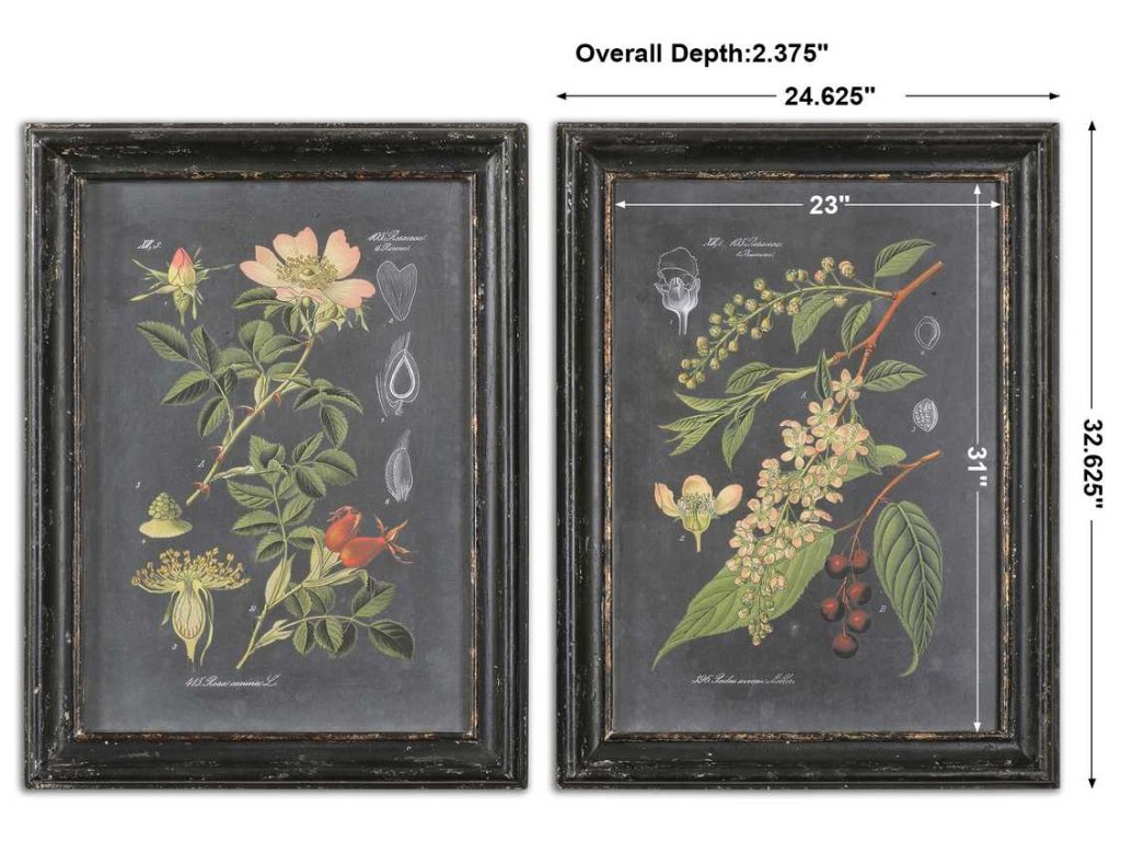 Midnight Botanicals Framed Prints, S/2 - image 3