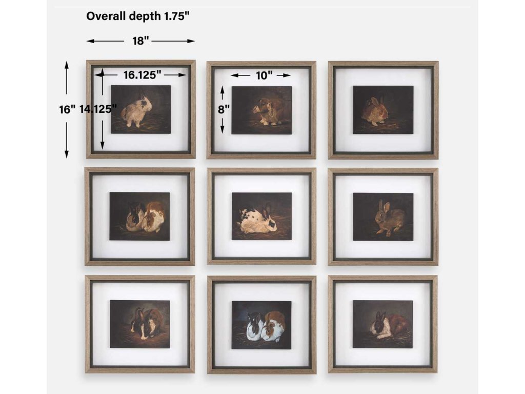 Resting Bunny Framed Prints, S/9 - image 6