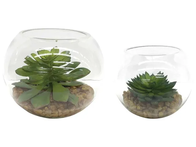 Eloy Terrariums, S/2