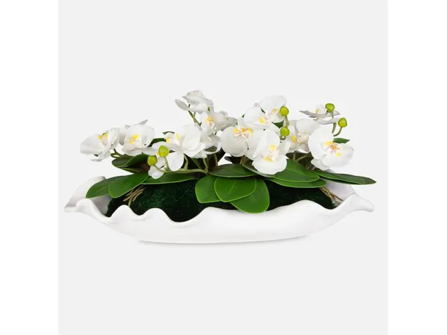 Opulence Orchid - Alternative View