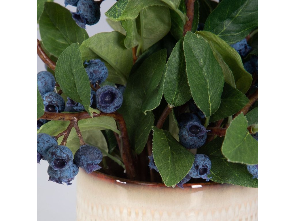 Blueberry Fields Accent - image 3