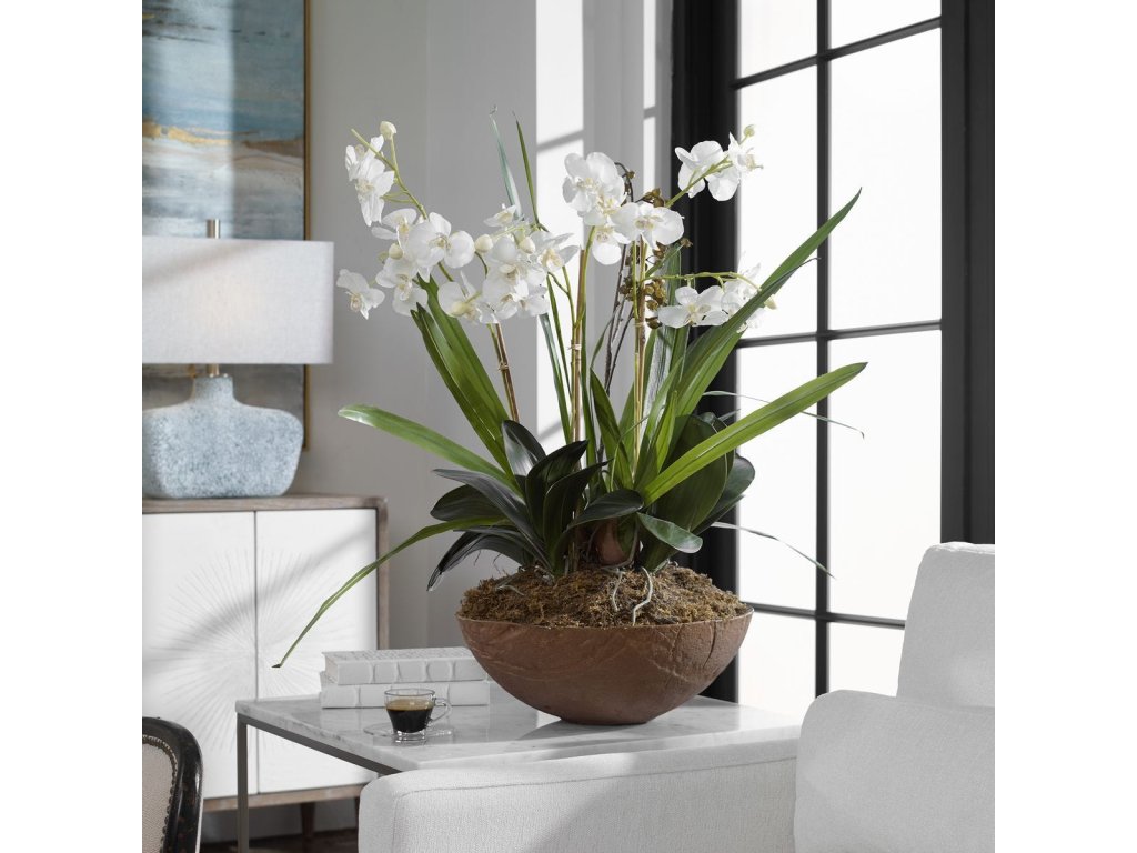 Moth Orchid Planter - image 3