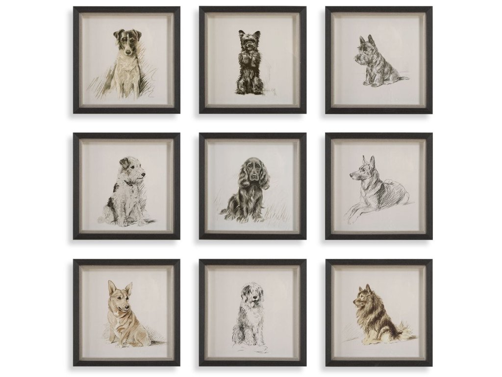 Loyal Companion Framed Prints, S/9 - main image